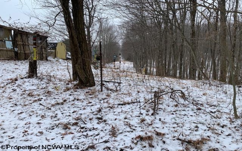 TBD Mt. Hebron Road, Volga, West Virginia 26238, ,Lots/land,For Sale,Mt. Hebron,10162901 TBD Mt. Hebron Road, Volga, West Virginia 26238, ,Lots/land,For Sale,Mt. Hebron,10162901