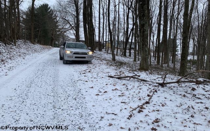 TBD Mt. Hebron Road, Volga, West Virginia 26238, ,Lots/land,For Sale,Mt. Hebron,10162901 TBD Mt. Hebron Road, Volga, West Virginia 26238, ,Lots/land,For Sale,Mt. Hebron,10162901