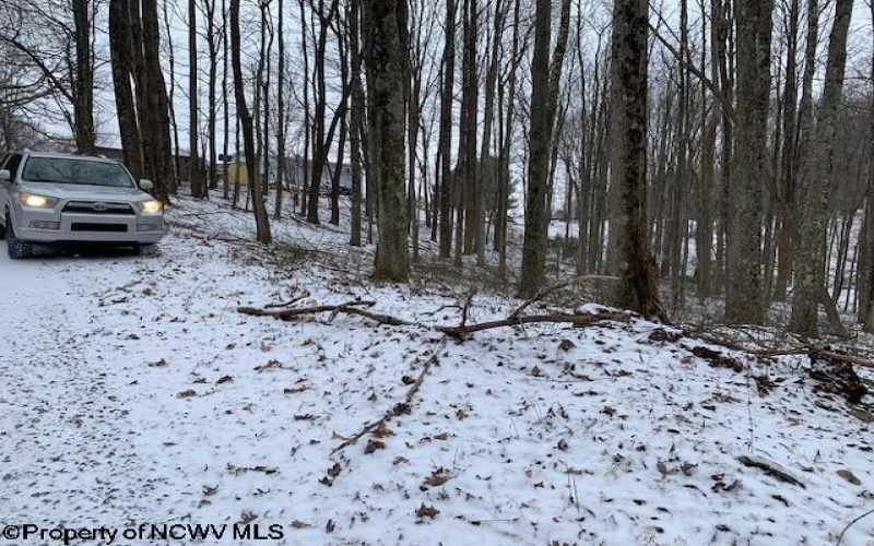 TBD Mt. Hebron Road, Volga, West Virginia 26238, ,Lots/land,For Sale,Mt. Hebron,10162901 TBD Mt. Hebron Road, Volga, West Virginia 26238, ,Lots/land,For Sale,Mt. Hebron,10162901