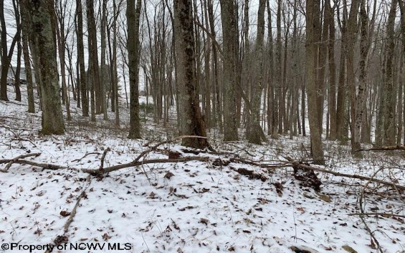 TBD Mt. Hebron Road, Volga, West Virginia 26238, ,Lots/land,For Sale,Mt. Hebron,10162901 TBD Mt. Hebron Road, Volga, West Virginia 26238, ,Lots/land,For Sale,Mt. Hebron,10162901