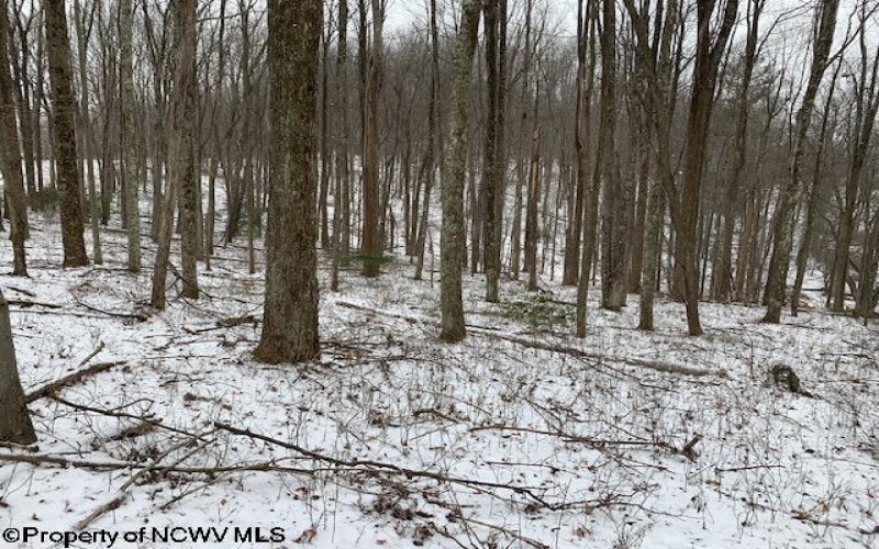 TBD Mt. Hebron Road, Volga, West Virginia 26238, ,Lots/land,For Sale,Mt. Hebron,10162901 TBD Mt. Hebron Road, Volga, West Virginia 26238, ,Lots/land,For Sale,Mt. Hebron,10162901