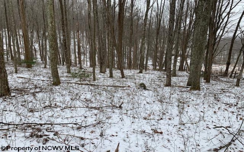 TBD Mt. Hebron Road, Volga, West Virginia 26238, ,Lots/land,For Sale,Mt. Hebron,10162901 TBD Mt. Hebron Road, Volga, West Virginia 26238, ,Lots/land,For Sale,Mt. Hebron,10162901