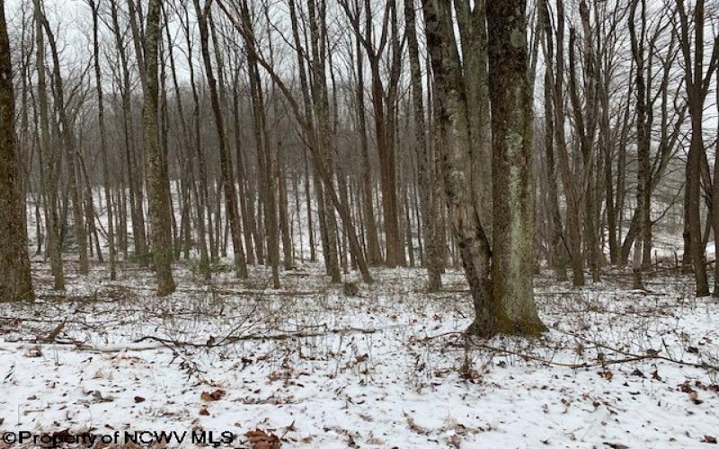 TBD Mt. Hebron Road, Volga, West Virginia 26238, ,Lots/land,For Sale,Mt. Hebron,10162901 TBD Mt. Hebron Road, Volga, West Virginia 26238, ,Lots/land,For Sale,Mt. Hebron,10162901