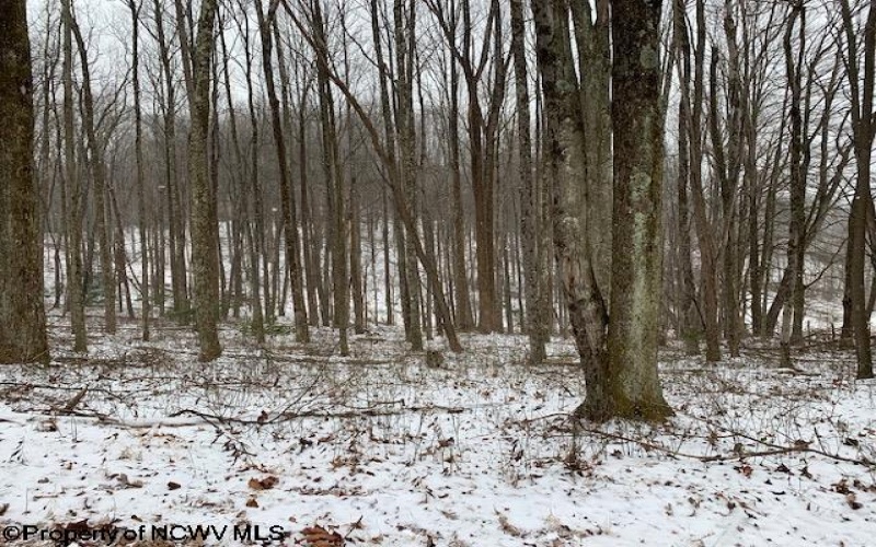 TBD Mt. Hebron Road, Volga, West Virginia 26238, ,Lots/land,For Sale,Mt. Hebron,10162901 TBD Mt. Hebron Road, Volga, West Virginia 26238, ,Lots/land,For Sale,Mt. Hebron,10162901