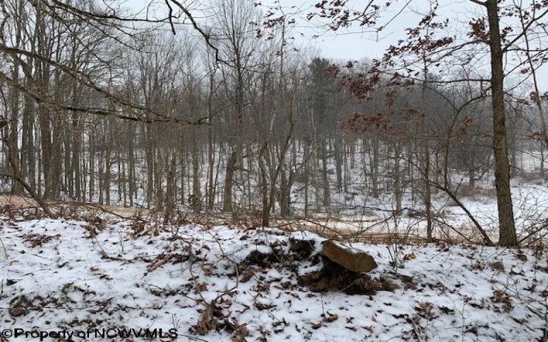 TBD Mt. Hebron Road, Volga, West Virginia 26238, ,Lots/land,For Sale,Mt. Hebron,10162901 TBD Mt. Hebron Road, Volga, West Virginia 26238, ,Lots/land,For Sale,Mt. Hebron,10162901