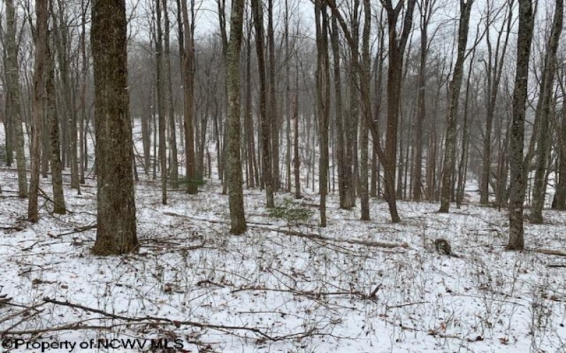 TBD Mt. Hebron Road, Volga, West Virginia 26238, ,Lots/land,For Sale,Mt. Hebron,10162901 TBD Mt. Hebron Road, Volga, West Virginia 26238, ,Lots/land,For Sale,Mt. Hebron,10162901