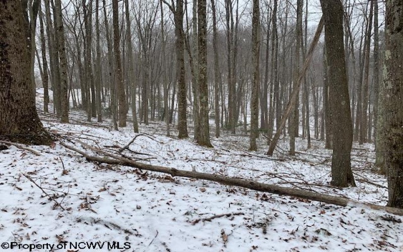 TBD Mt. Hebron Road, Volga, West Virginia 26238, ,Lots/land,For Sale,Mt. Hebron,10162901 TBD Mt. Hebron Road, Volga, West Virginia 26238, ,Lots/land,For Sale,Mt. Hebron,10162901