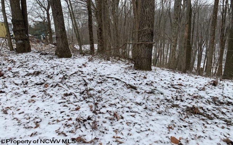 TBD Mt. Hebron Road, Volga, West Virginia 26238, ,Lots/land,For Sale,Mt. Hebron,10162901 TBD Mt. Hebron Road, Volga, West Virginia 26238, ,Lots/land,For Sale,Mt. Hebron,10162901