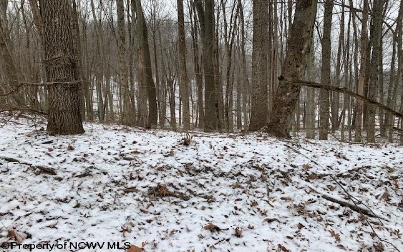 TBD Mt. Hebron Road, Volga, West Virginia 26238, ,Lots/land,For Sale,Mt. Hebron,10162901 TBD Mt. Hebron Road, Volga, West Virginia 26238, ,Lots/land,For Sale,Mt. Hebron,10162901