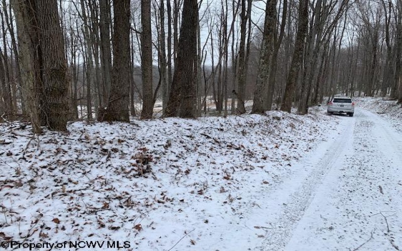 TBD Mt. Hebron Road, Volga, West Virginia 26238, ,Lots/land,For Sale,Mt. Hebron,10162901 TBD Mt. Hebron Road, Volga, West Virginia 26238, ,Lots/land,For Sale,Mt. Hebron,10162901