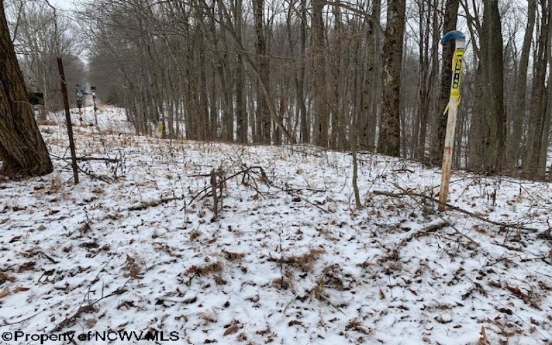 TBD Mt. Hebron Road, Volga, West Virginia 26238, ,Lots/land,For Sale,Mt. Hebron,10162901 TBD Mt. Hebron Road, Volga, West Virginia 26238, ,Lots/land,For Sale,Mt. Hebron,10162901