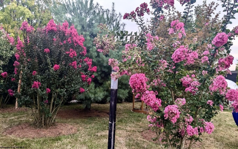 3473 Collins Ferry Road, Morgantown, West Virginia 26505, 3 Bedrooms Bedrooms, 7 Rooms Rooms,3 BathroomsBathrooms,Single Family Detached,For Sale,Collins Ferry,10162904