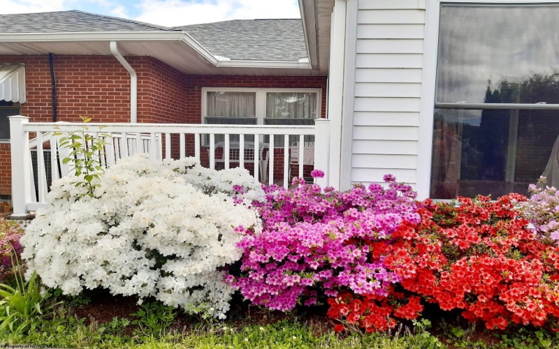 3473 Collins Ferry Road, Morgantown, West Virginia 26505, 3 Bedrooms Bedrooms, 7 Rooms Rooms,3 BathroomsBathrooms,Single Family Detached,For Sale,Collins Ferry,10162904 3473 Collins Ferry Road, Morgantown, West Virginia 26505, 3 Bedrooms Bedrooms, 7 Rooms Rooms,3 BathroomsBathrooms,Single Family Detached,For Sale,Collins Ferry,10162904