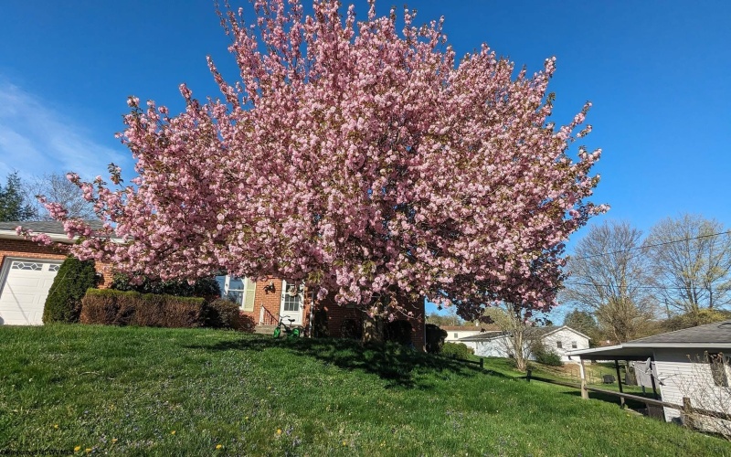 3473 Collins Ferry Road, Morgantown, West Virginia 26505, 3 Bedrooms Bedrooms, 7 Rooms Rooms,3 BathroomsBathrooms,Single Family Detached,For Sale,Collins Ferry,10162904 3473 Collins Ferry Road, Morgantown, West Virginia 26505, 3 Bedrooms Bedrooms, 7 Rooms Rooms,3 BathroomsBathrooms,Single Family Detached,For Sale,Collins Ferry,10162904