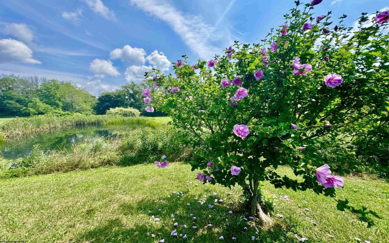 624 Arnold Hill Road, Elkins, West Virginia 26241, 2 Bedrooms Bedrooms, 6 Rooms Rooms,1 BathroomBathrooms,Single Family Detached,For Sale,Arnold Hill,10155658