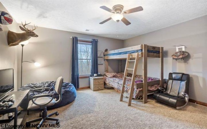 320 Thacker Lane, Belington, West Virginia 26250, 4 Bedrooms Bedrooms, 12 Rooms Rooms,2 BathroomsBathrooms,Single Family Detached,For Sale,Thacker,10161448