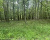 Lots 85 and 86 Lakeview Drive, Terra Alta, West Virginia 26764, ,Lots/land,For Sale,Lakeview,10160542