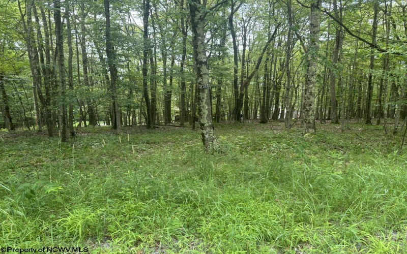 Lots 85 and 86 Lakeview Drive, Terra Alta, West Virginia 26764, ,Lots/land,For Sale,Lakeview,10160542