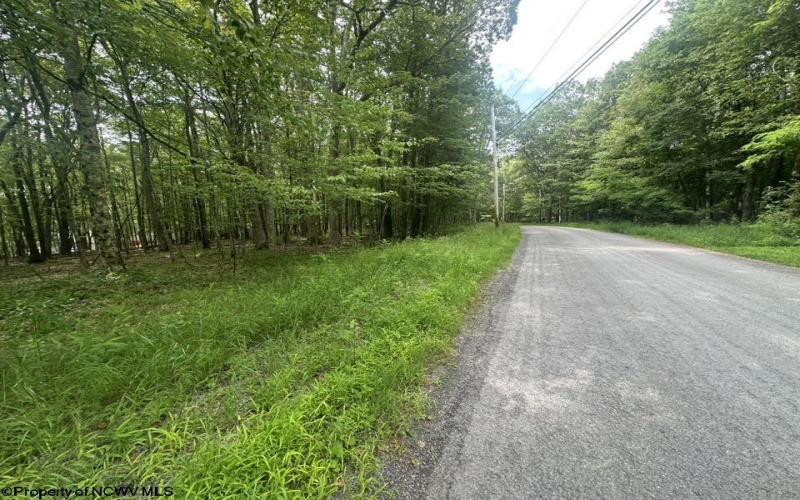 Lots 85 and 86 Lakeview Drive, Terra Alta, West Virginia 26764, ,Lots/land,For Sale,Lakeview,10160542
