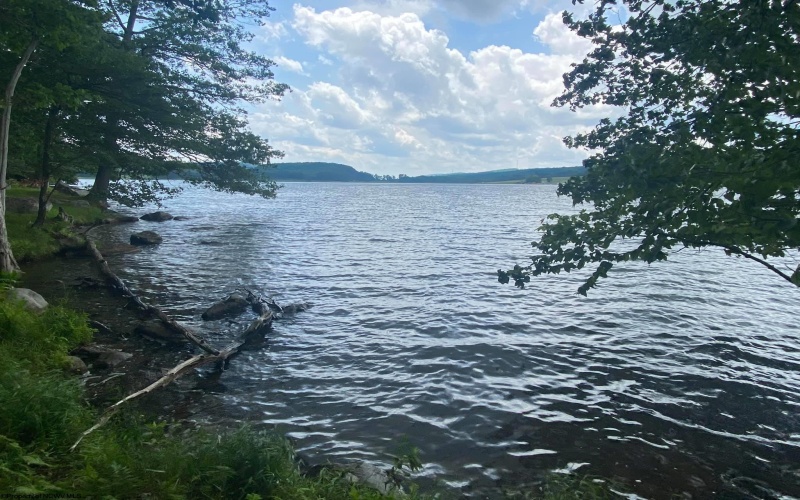 Lots 85 and 86 Lakeview Drive, Terra Alta, West Virginia 26764, ,Lots/land,For Sale,Lakeview,10160542