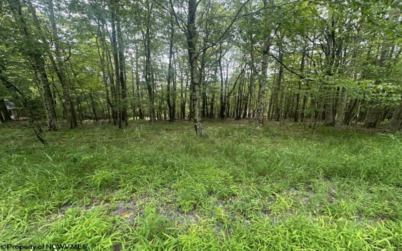 Lots 85 and 86 Lakeview Drive, Terra Alta, West Virginia 26764, ,Lots/land,For Sale,Lakeview,10160542