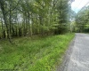 Lots 85 and 86 Lakeview Drive, Terra Alta, West Virginia 26764, ,Lots/land,For Sale,Lakeview,10160542