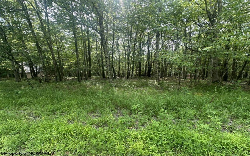 Lots 85 and 86 Lakeview Drive, Terra Alta, West Virginia 26764, ,Lots/land,For Sale,Lakeview,10160542