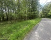 Lots 85 and 86 Lakeview Drive, Terra Alta, West Virginia 26764, ,Lots/land,For Sale,Lakeview,10160542
