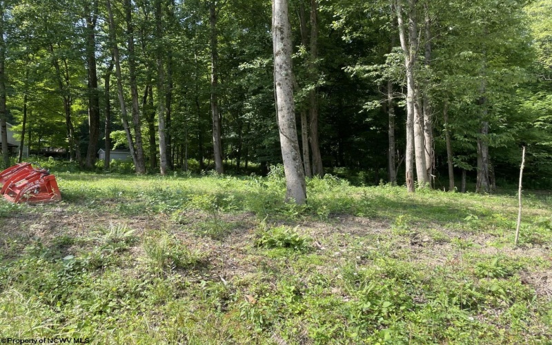 Lot 1 Kimberly Lane, Kingwood, West Virginia 26537, ,Lots/land,For Sale,Kimberly,10144368