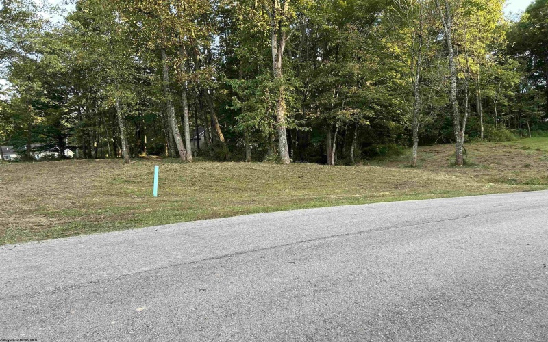 Lot 1 Kimberly Lane, Kingwood, West Virginia 26537, 0 , 0 ,0,Lots/land,For Sale,Kimberly,0,10144368