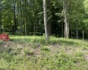 Lot 1 Kimberly Lane, Kingwood, West Virginia 26537, 0 , 0 ,0,Lots/land,For Sale,Kimberly,0,10144368