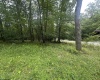 Lots 52 & 53 Pine Drive, Terra Alta, West Virginia 26764, ,Lots/land,For Sale,Pine,10160541