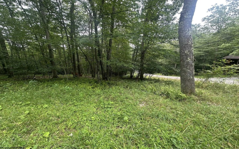 Lots 52 & 53 Pine Drive, Terra Alta, West Virginia 26764, ,Lots/land,For Sale,Pine,10160541