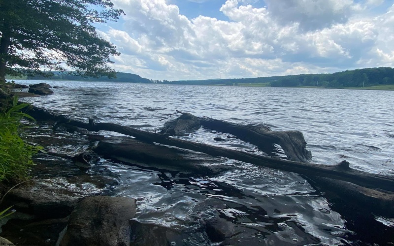 Lots 52 & 53 Pine Drive, Terra Alta, West Virginia 26764, ,Lots/land,For Sale,Pine,10160541