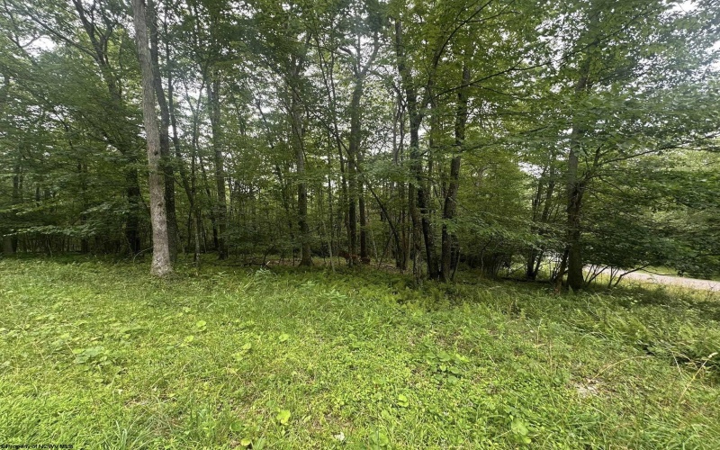 Lots 52 & 53 Pine Drive, Terra Alta, West Virginia 26764, ,Lots/land,For Sale,Pine,10160541