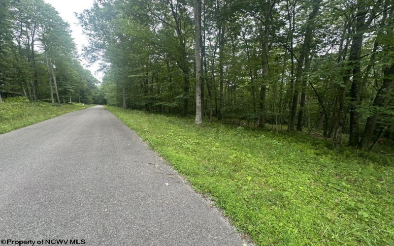 Lots 52 & 53 Pine Drive, Terra Alta, West Virginia 26764, ,Lots/land,For Sale,Pine,10160541