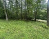 Lots 52 & 53 Pine Drive, Terra Alta, West Virginia 26764, ,Lots/land,For Sale,Pine,10160541