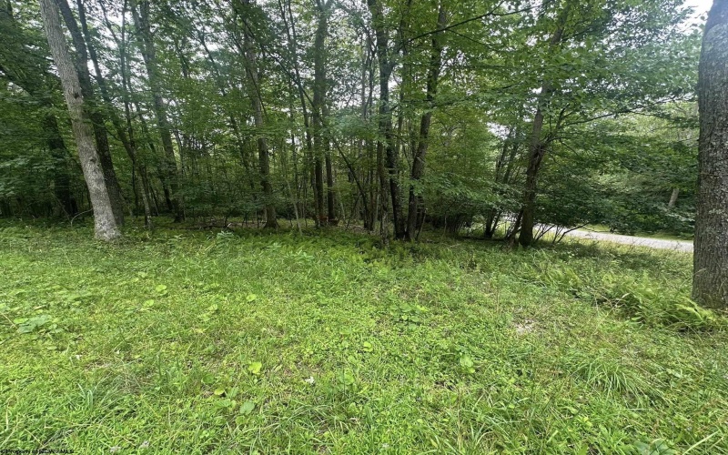 Lots 52 & 53 Pine Drive, Terra Alta, West Virginia 26764, ,Lots/land,For Sale,Pine,10160541