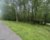 Lots 52 & 53 Pine Drive, Terra Alta, West Virginia 26764, ,Lots/land,For Sale,Pine,10160541
