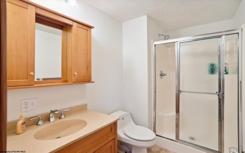 199 Treetop Lane, Davis, West Virginia 26260, 4 Bedrooms Bedrooms, 8 Rooms Rooms,3 BathroomsBathrooms,Single Family Detached,For Sale,Treetop,10152009 199 Treetop Lane, Davis, West Virginia 26260, 4 Bedrooms Bedrooms, 8 Rooms Rooms,3 BathroomsBathrooms,Single Family Detached,For Sale,Treetop,10152009