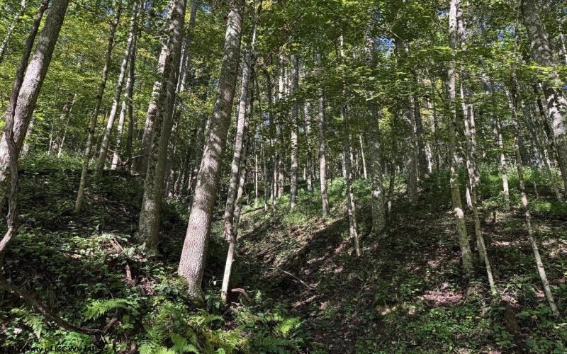 475 Rohrig Road, Smithfield, West Virginia 26437, 2 Bedrooms Bedrooms, 6 Rooms Rooms,2 BathroomsBathrooms,Single Family Detached,For Sale,Rohrig,10161441