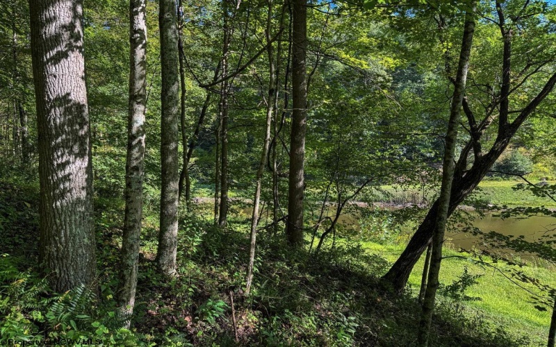 475 Rohrig Road, Smithfield, West Virginia 26437, 2 Bedrooms Bedrooms, 6 Rooms Rooms,2 BathroomsBathrooms,Single Family Detached,For Sale,Rohrig,10161441