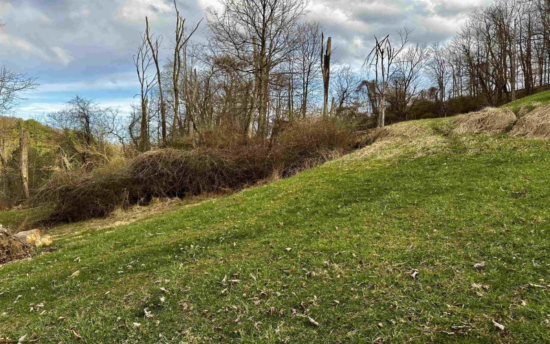 TBD Goose Run Road, Fairmont, West Virginia 26554, ,Lots/land,For Sale,Goose Run,10158704