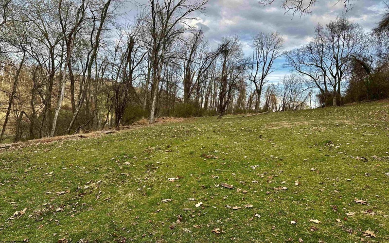 TBD Goose Run Road, Fairmont, West Virginia 26554, ,Lots/land,For Sale,Goose Run,10158704