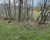 TBD Goose Run Road, Fairmont, West Virginia 26554, ,Lots/land,For Sale,Goose Run,10158704