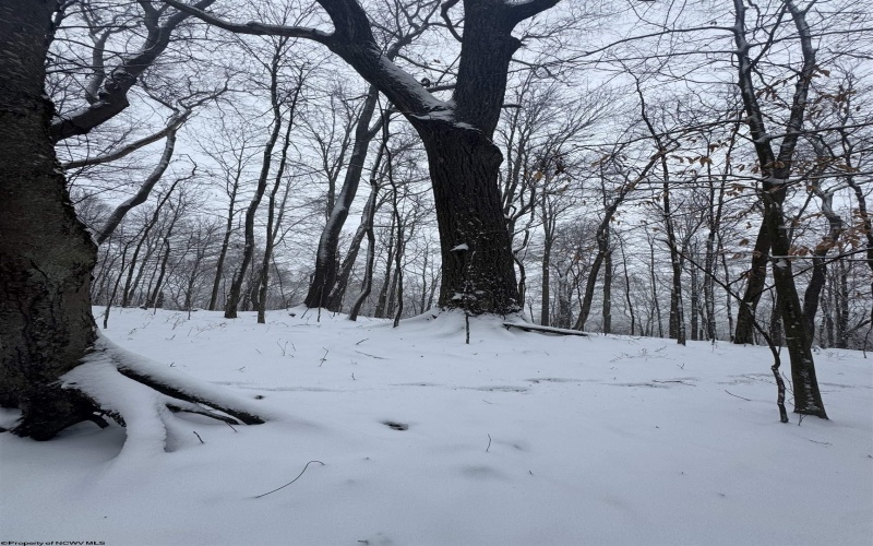 TBD Abiguchee Lane, Richwood, West Virginia 26261, ,Lots/land,For Sale,Abiguchee,10162915