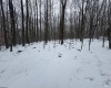 TBD Abiguchee Lane, Richwood, West Virginia 26261, ,Lots/land,For Sale,Abiguchee,10162915