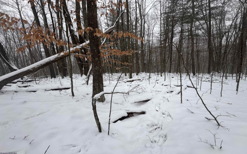 TBD Abiguchee Lane, Richwood, West Virginia 26261, ,Lots/land,For Sale,Abiguchee,10162915