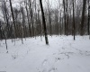 TBD Abiguchee Lane, Richwood, West Virginia 26261, ,Lots/land,For Sale,Abiguchee,10162915