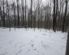 TBD Abiguchee Lane, Richwood, West Virginia 26261, ,Lots/land,For Sale,Abiguchee,10162915